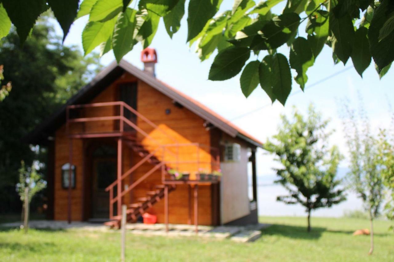 Vila Carobni Breg Golubac Exteriér fotografie